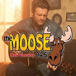 Meet your Posher, Roxanne